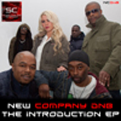 New Company - The Introduction EP