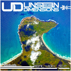 Unseen Dimensions - Real High