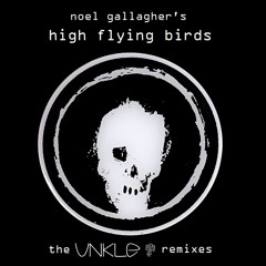UNKLE - AKA... What a Life! (Noel Gallagher's High Flying Birds)