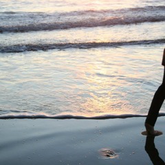 Summer of Luv - Alexa Prus