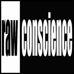THE WARNING (raw conscience remix)