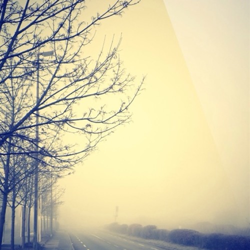 نوای تار