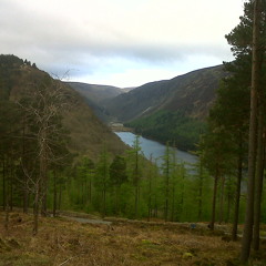 Cant Help Falling In Love- Elvis Presley (Ingrid Michaelson) Cover