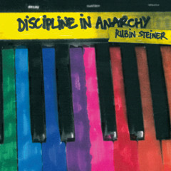 Discipline In Anarchy - Rubin Steiner