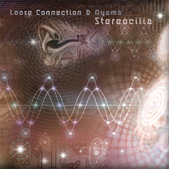 Loose Connection & Nyama - Stereocilia