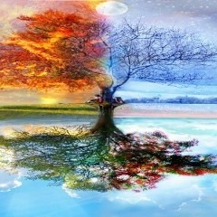 Divine Knowledge