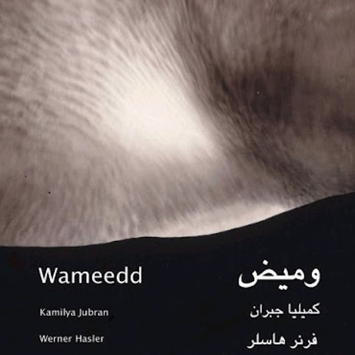 كاميليا جبران - انكمش