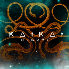 Bigote - Medicina mapuche