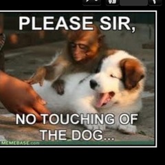 City is ours by Big Time Rush (Sung by: Millee my 7year old cousin)