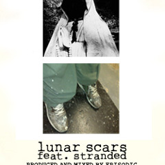 vice versa - lunarscars feat stranded(prod. by episodic)