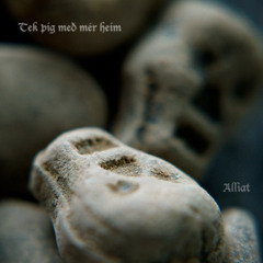 Tek þig með mér heim