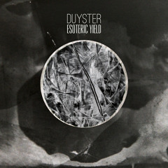 Duyster - Nis
