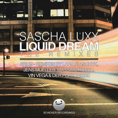 Sascha Luxx-Liquid Dream (Lars Blaschyk Remix)SR009 Release date 15.6.12