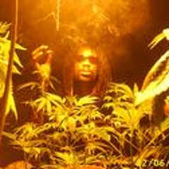 Vibes - General levy produced by Phyco Freud.(Fat viking Riddim)