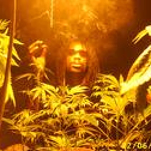 Vibes - General levy produced by Phyco Freud.(Fat viking Riddim)