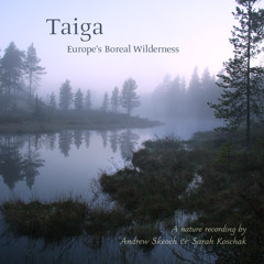 Andrew & Sarah take you track by track through 'Taiga - Europe's Boreal Wilderness'
