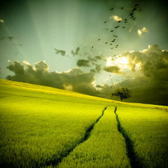 crizz curg - TRAUMhaft #02.5