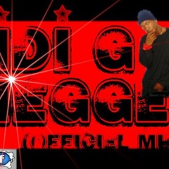 DiDi G | Fan Of Brick Squad | prod. by @spiderbxtz