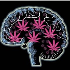 Silyfirst - Ganja Lova