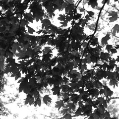 Kidnapped In Georgia (Acoustic)