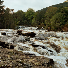 The morning song  (instrumental)