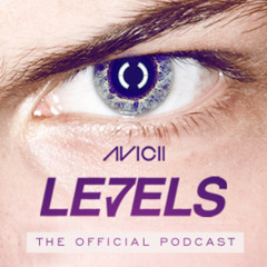 AVICII - Levels In Reverse - New 2012