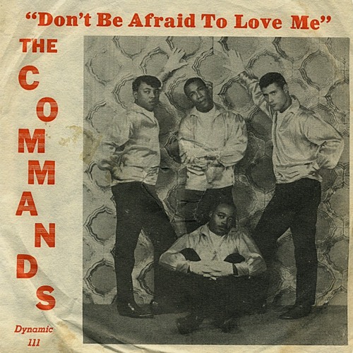 The Commands ~  I 've Got Love For My Baby