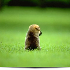 Say that you love me3