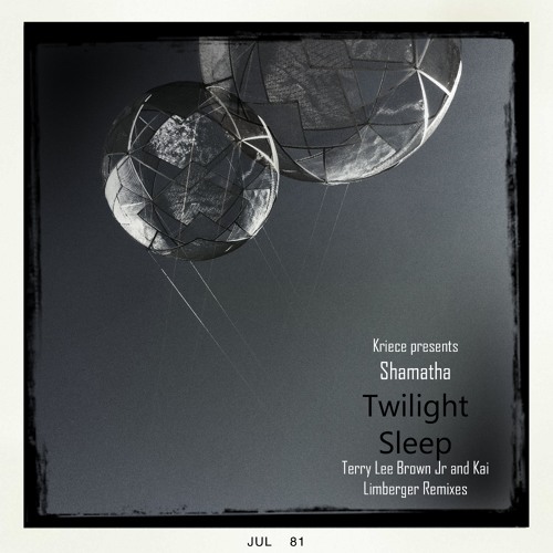 Shamatha - Twilight Sleep (Terry Lee Brown Junior Remix)
