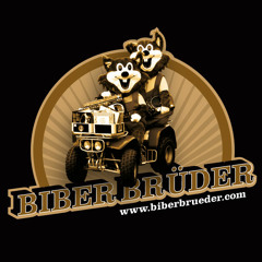 Electronical Bicycle