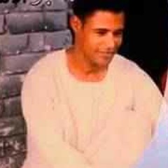 مفضله