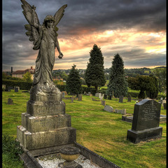 Angel From Montgomery Cover