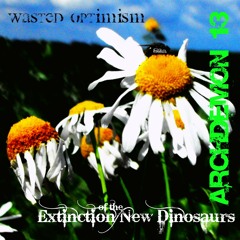 Wasted Optimism (spasm of pain mix)