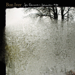 Bon Iver - Skinny Love - Cover by NOVEMBERSKY