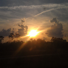 Inert Ingredients - Hey, You With the Fish