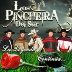 Los Pincheira Del Sur 2012 TE VOY A OLVIDAR