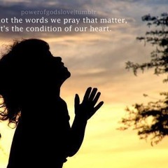 Fly2lynn- 注目看耶稣