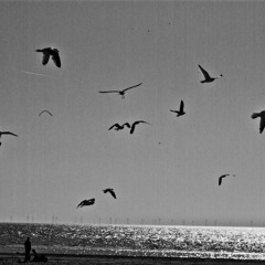 ambient&dub/drone