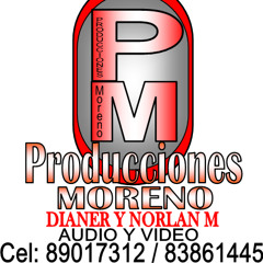 Dianer Moreno  nadie como tu