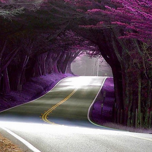 و ما تلك بيمينك ياموسى - فن التلاوة