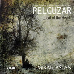 Pelguzar (Mikail Aslan) RE-mix