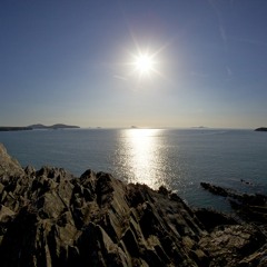 Sunshine Groove 2012 Live