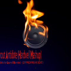 Coldplay - Paradise (Fedde le Grand/Hardwell Remix, TL Edit)