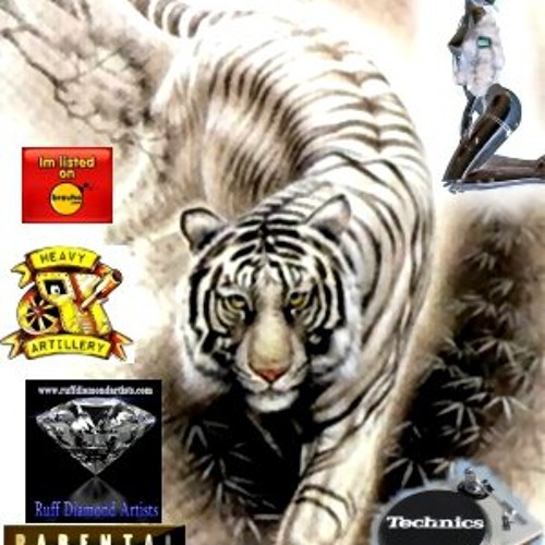 DjDEVASTATE™ - So Damn Tough