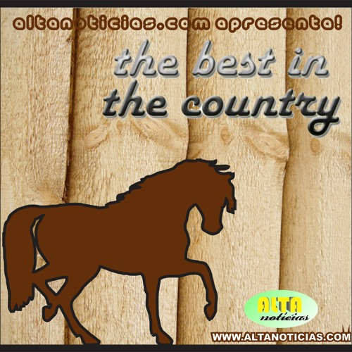 Moda de Viola - Playlist - República Country6