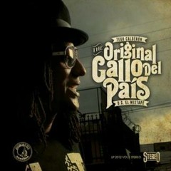 Tego Calderon - Robin Hood (Original Gallo Del Pais)