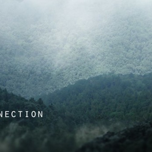 Sunscale - Connection(cut)