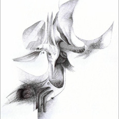 Birdbrain (electroacoustic piece in four sections)