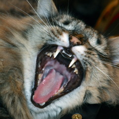 Epigram Struggle (Notorious BIG vs. Tycho)