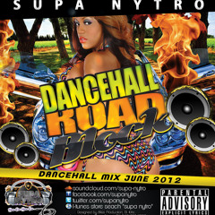 DANCEHALL ROAD BLOCK (JUNE 2012)